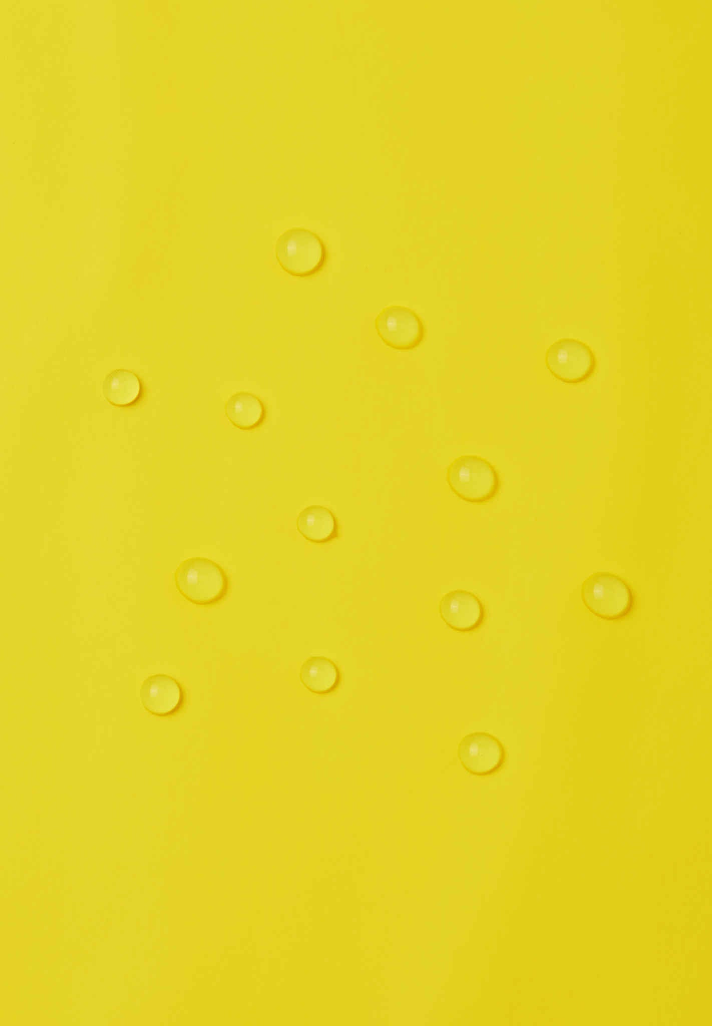 Waterproof Rain Pants - Lammikko